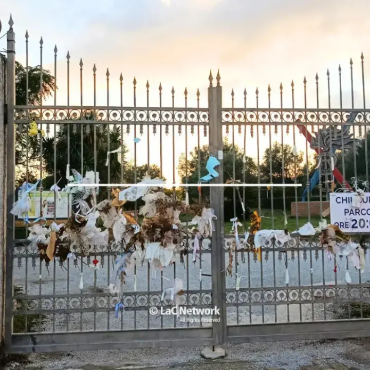 Parco urbano di Vibo, il Comune azzera tutto: revocato l’appalto e rimossi rup e direttore dei lavori\n