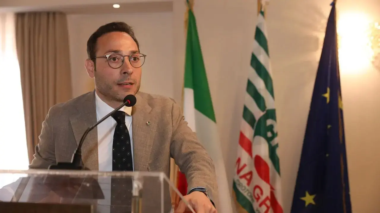 Sindaci del Vibonese pronti al ritorno sotto Catanzaro, la Cisl: «Segnale di un disagio profondo»\n