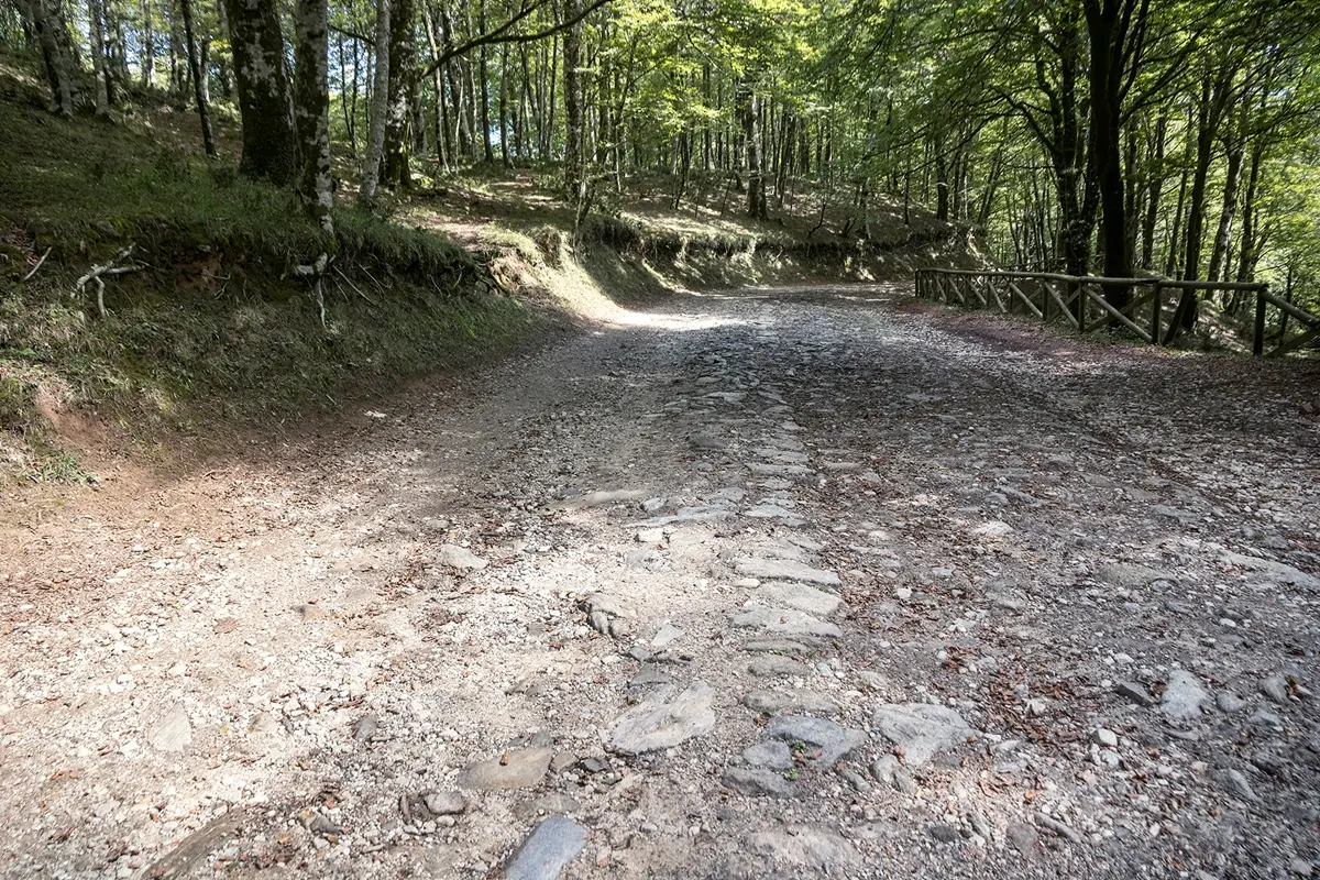 Gente in Aspromonte, domenica 16 novembre “‘A mbricciata i San Bartolomeo”\n