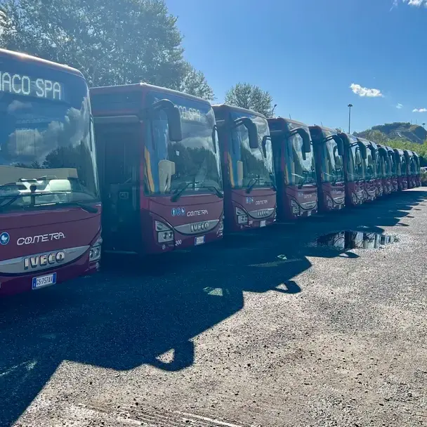 <p>Amaco, <span style=\"color:hsl(0, 75%, 60%);\">Autolinee TPL</span>: «Cometra non è un soggetto pubblico, serve chiarezza sulla gara»</p>