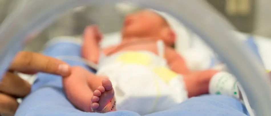 Neonato in condizioni critiche salvato dalla rete HUB–SPOKE: da Castrovillari a Taormina grazie all’ECMO mobile\n