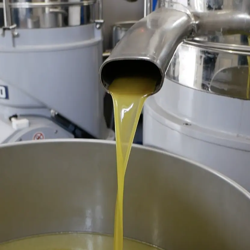 «Difenderemo l’olio calabrese dalle speculazioni»: Gallo (e la Regione) in campo per tutelare i produttori\n