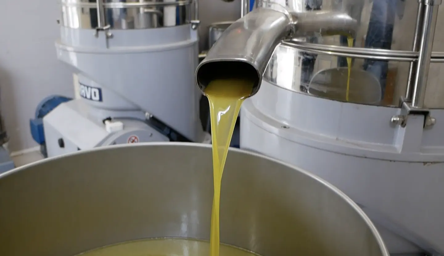 «Difenderemo l’olio calabrese dalle speculazioni»: Gallo (e la Regione) in campo per tutelare i produttori\n