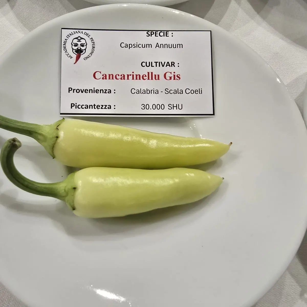 Il Cancarinellu Gis\u00A0della Biovalle del Nicà di Scala Coeli protagonista alla Cena Piccante di Bologna\n