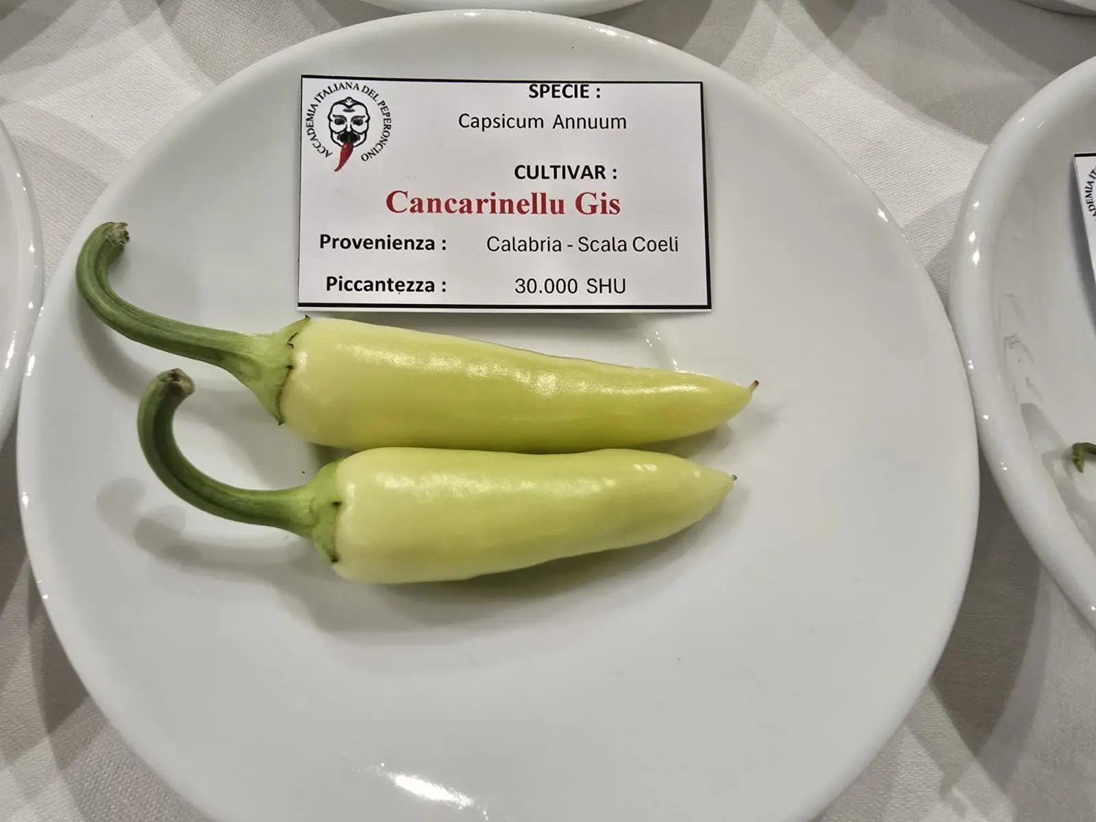 Il Cancarinellu Gis\u00A0della Biovalle del Nicà di Scala Coeli protagonista alla Cena Piccante di Bologna\n