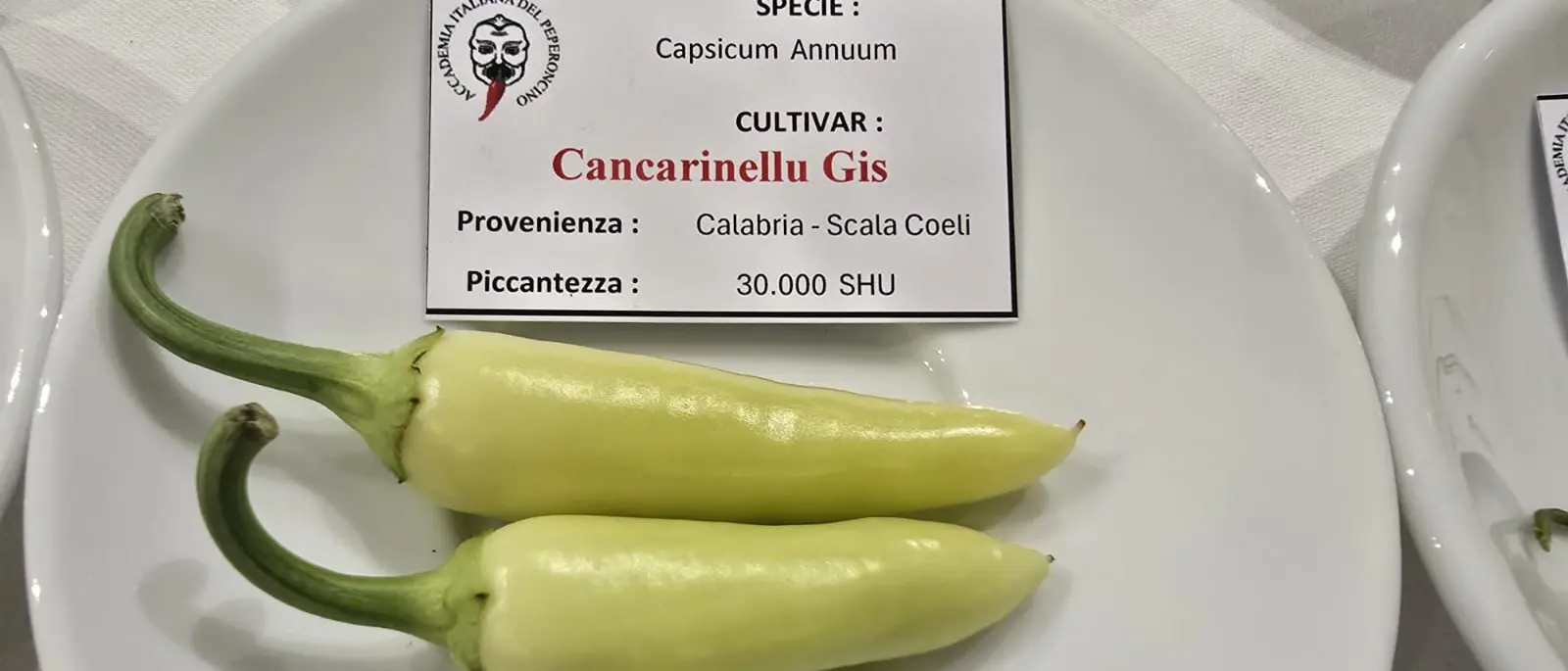 Il Cancarinellu Gis\u00A0della Biovalle del Nicà di Scala Coeli protagonista alla Cena Piccante di Bologna\n
