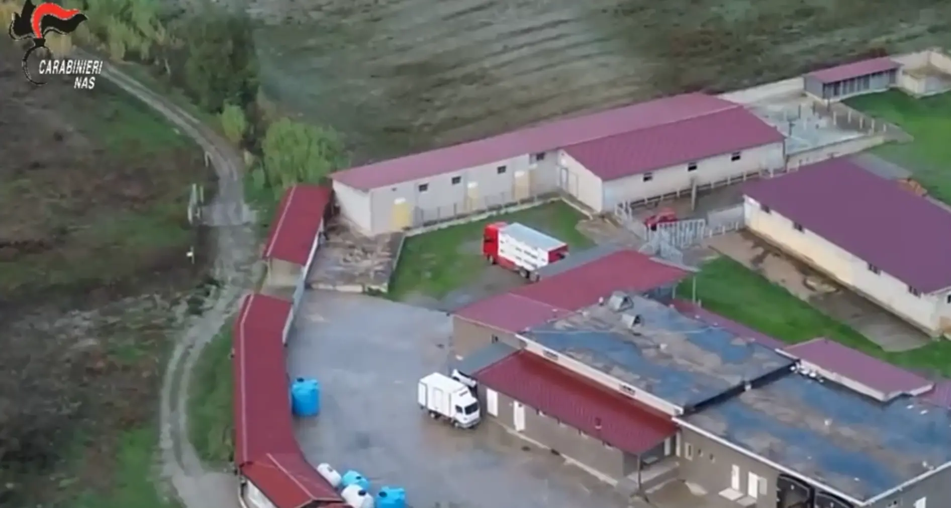 Crotone,\u00A0cavalli da corsa macellati senza autorizzazione:\u00A0un arresto e\u00A03 tonnellate di carne sequestrate\n