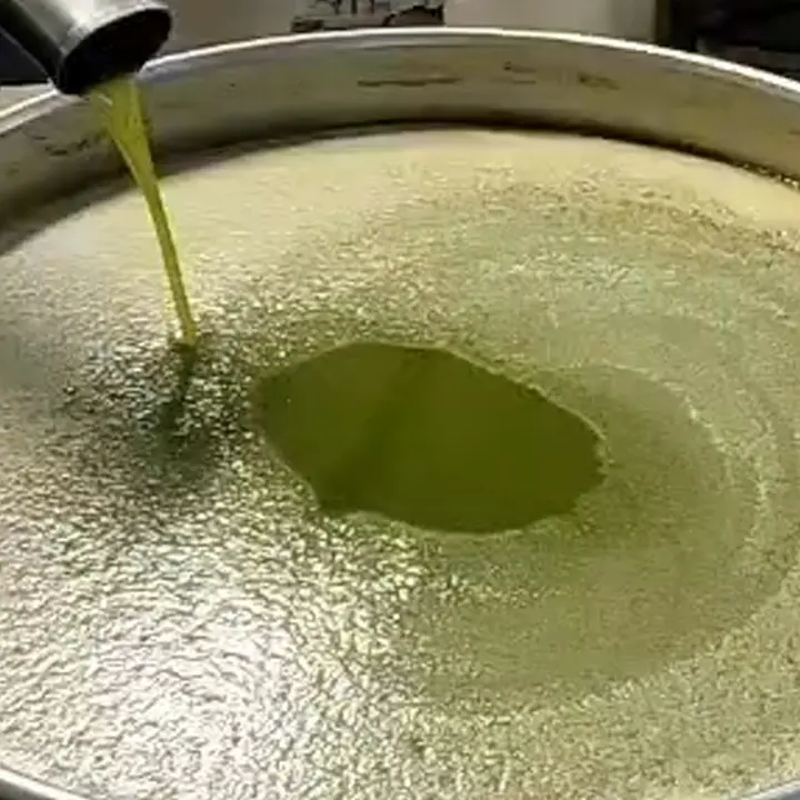 Olio dalla tunisia a prezzi bassi, Gallo promette: «Difenderemo quello calabrese dalle speculazioni»