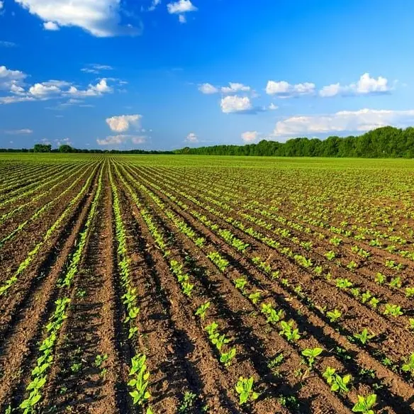 Per gli agricoltori calabresi 9 milioni e mezzo di euro. Gallo: «Sostegno alle imprese del territorio»\n