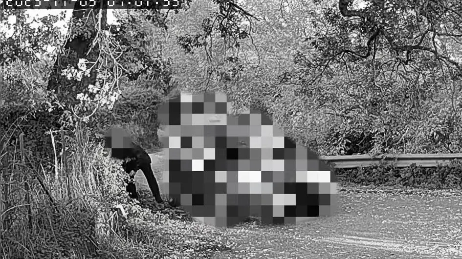 Rifiuti abbandonati, a San Costantino Calabro lotta senza quartiere ai “lordazzi seriali”: le FOTO\n