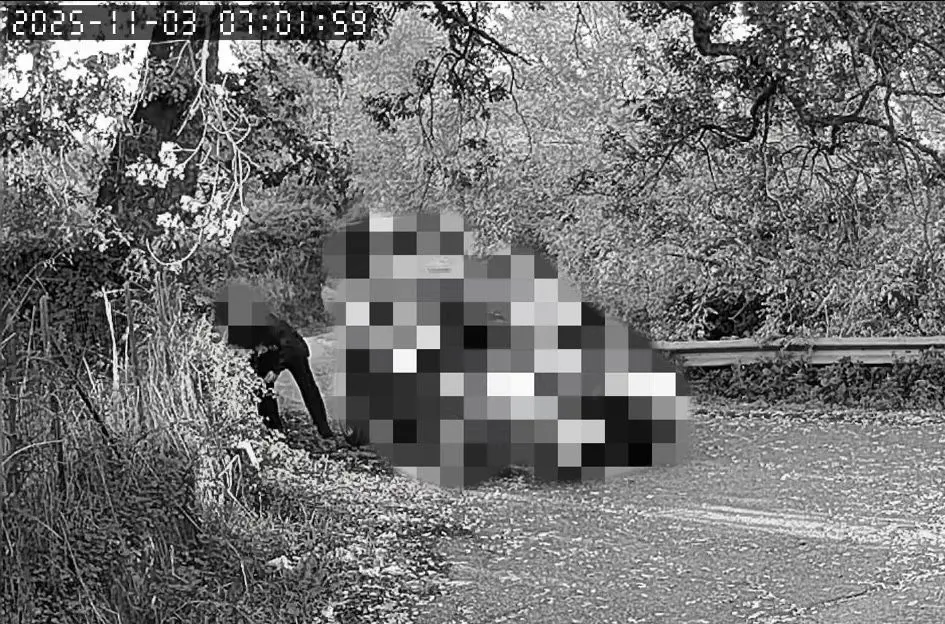 Rifiuti abbandonati, a San Costantino Calabro lotta senza quartiere ai “lordazzi seriali”: le FOTO\n