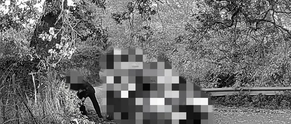 Rifiuti abbandonati, a San Costantino Calabro lotta senza quartiere ai “lordazzi seriali”: le FOTO\n