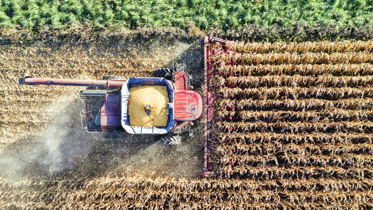 Imprese agricole Calabria, dalla Regione oltre un milione\u00A0per diversificazione e multifunzionalità: pubblicata graduatoria\n
