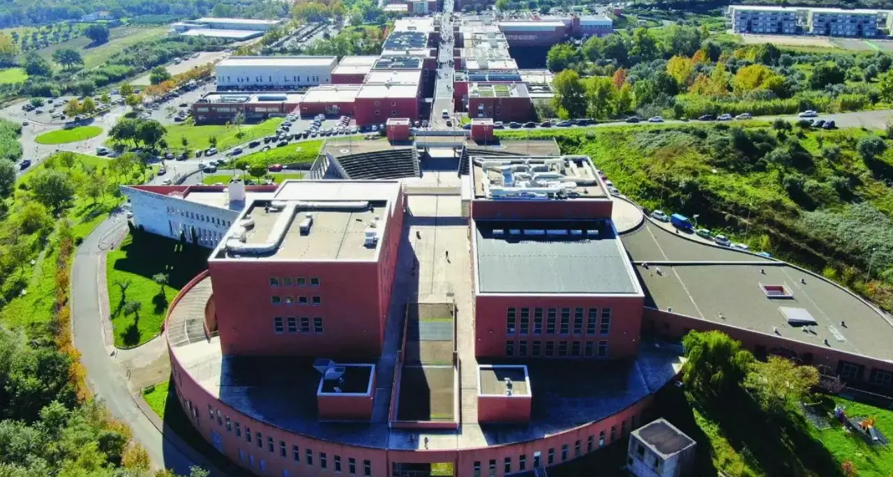 L’Università della Calabria lancia un programma di sostegno per studenti palestinesi: borse di studio da 12mila euro\n