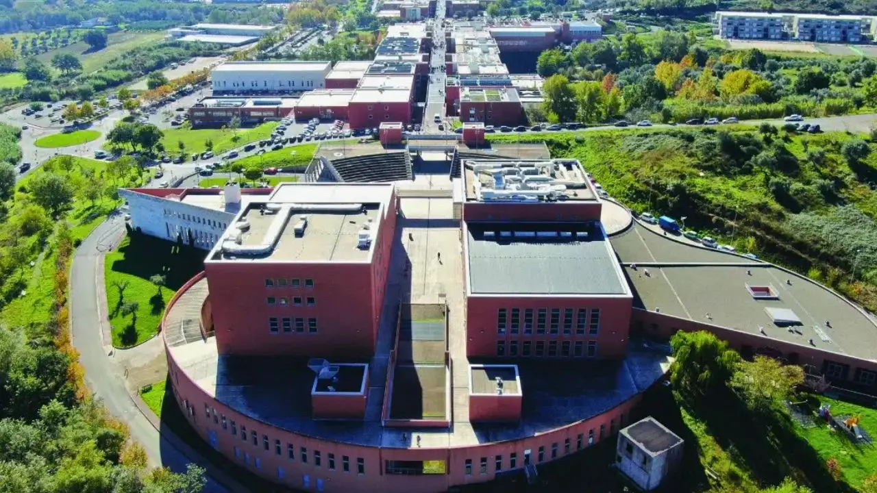 L’Università della Calabria lancia un programma di sostegno per studenti palestinesi: borse di studio da 12mila euro\n