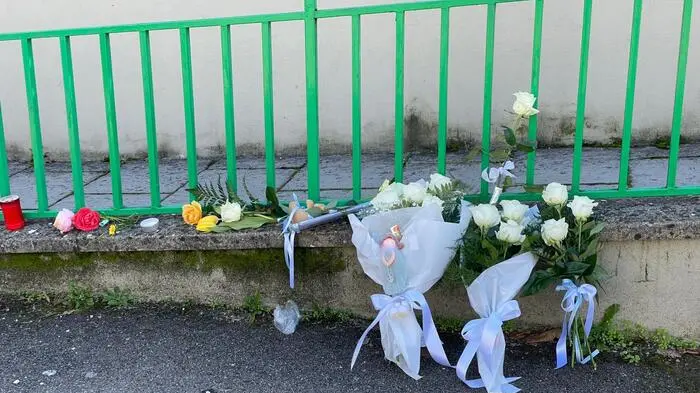 <p>Fiori davanti all'ingresso dell'asilo (foto Ansa)</p>\\n , ANSA