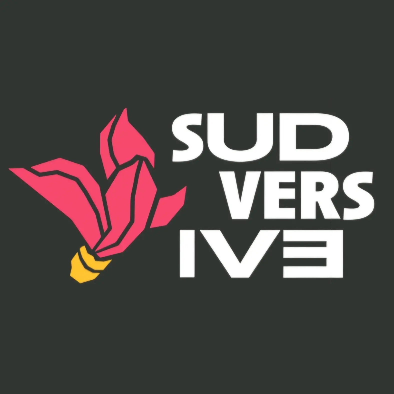 Sudversive, il collettivo femminista che si ispira a Michela Murgia\n