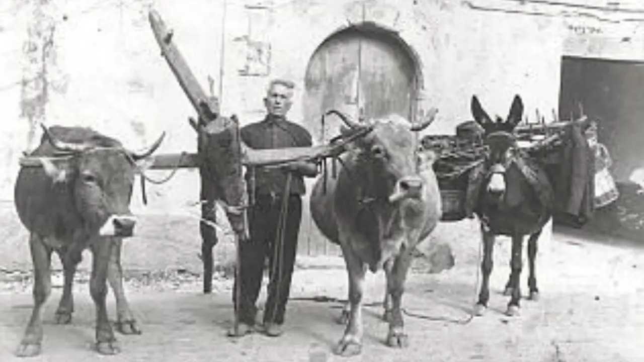 Spilinga, il Comune vuole creare un museo della storia contadina e lancia un appello ai cittadini: «Donate foto e\u00A0attrezzi antichi»\n