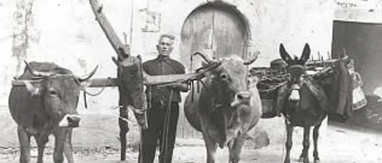 Spilinga, il Comune vuole creare un museo della storia contadina e lancia un appello ai cittadini: «Donate foto e\u00A0attrezzi antichi»\n