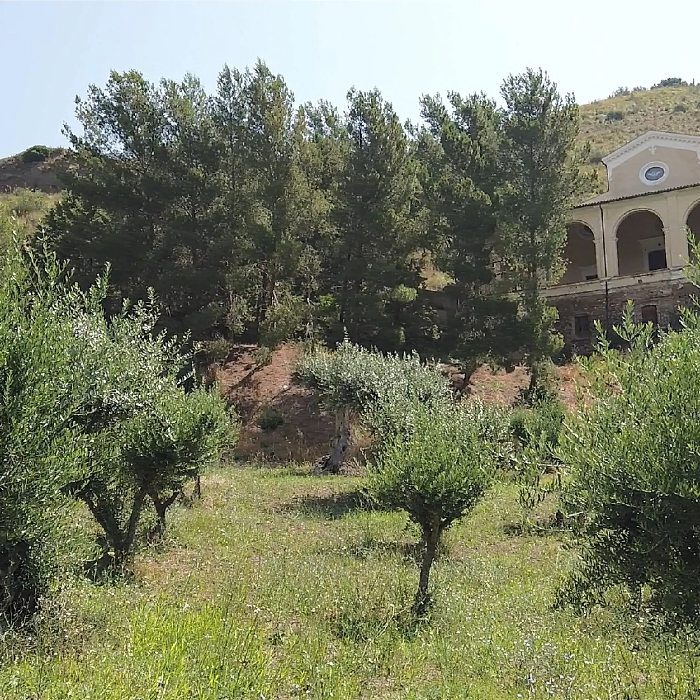 Storia, arte e fede nel Santuario di Santa Maria della Catena di Cassano: un\u00A0gioiello barocco dalla storia millenaria\n