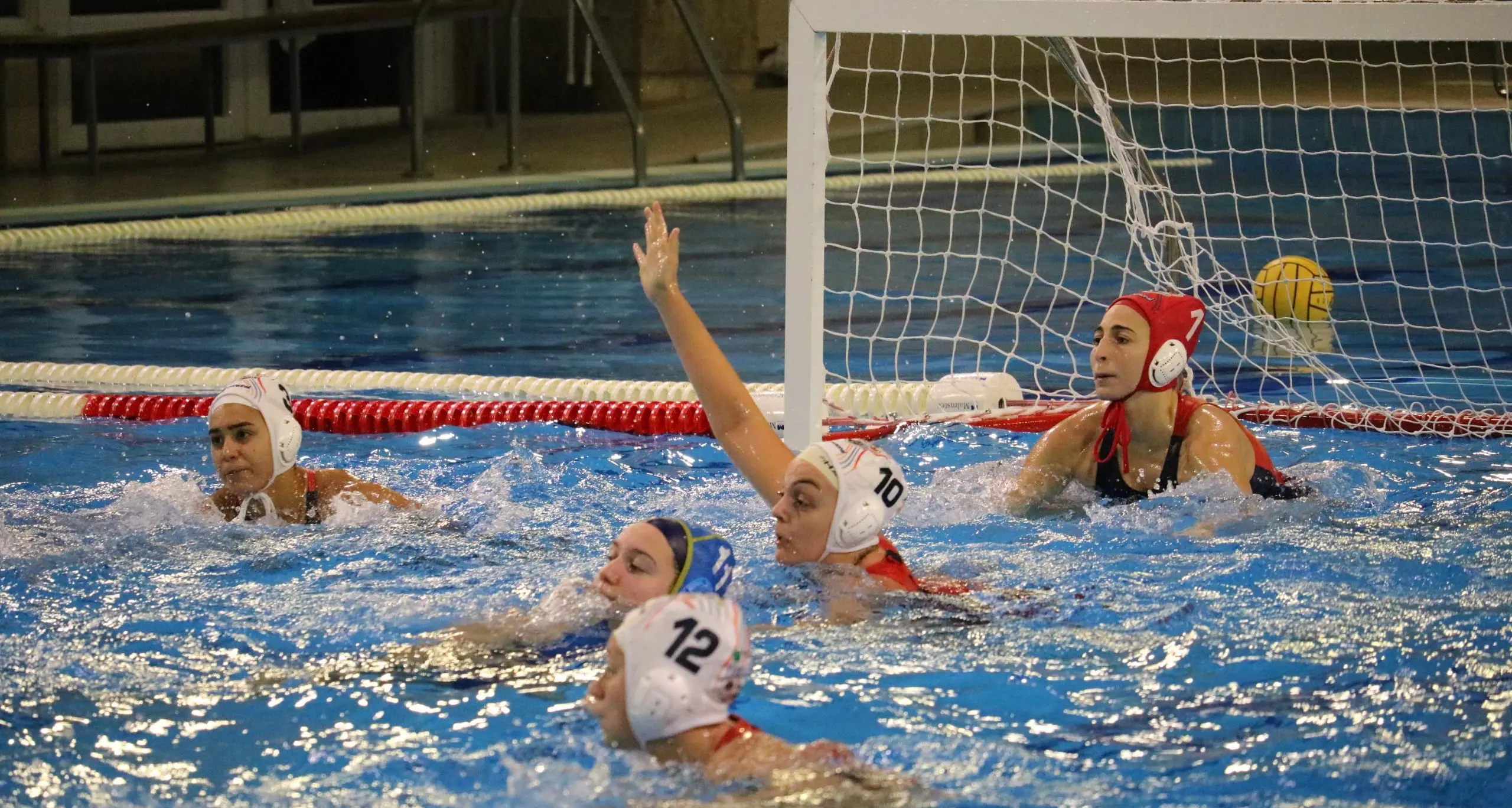 Conference Cup di Pallanuoto, Smile Cosenza senza problemi: 16-3 alla Stella Rossa\n\n\n\n\n