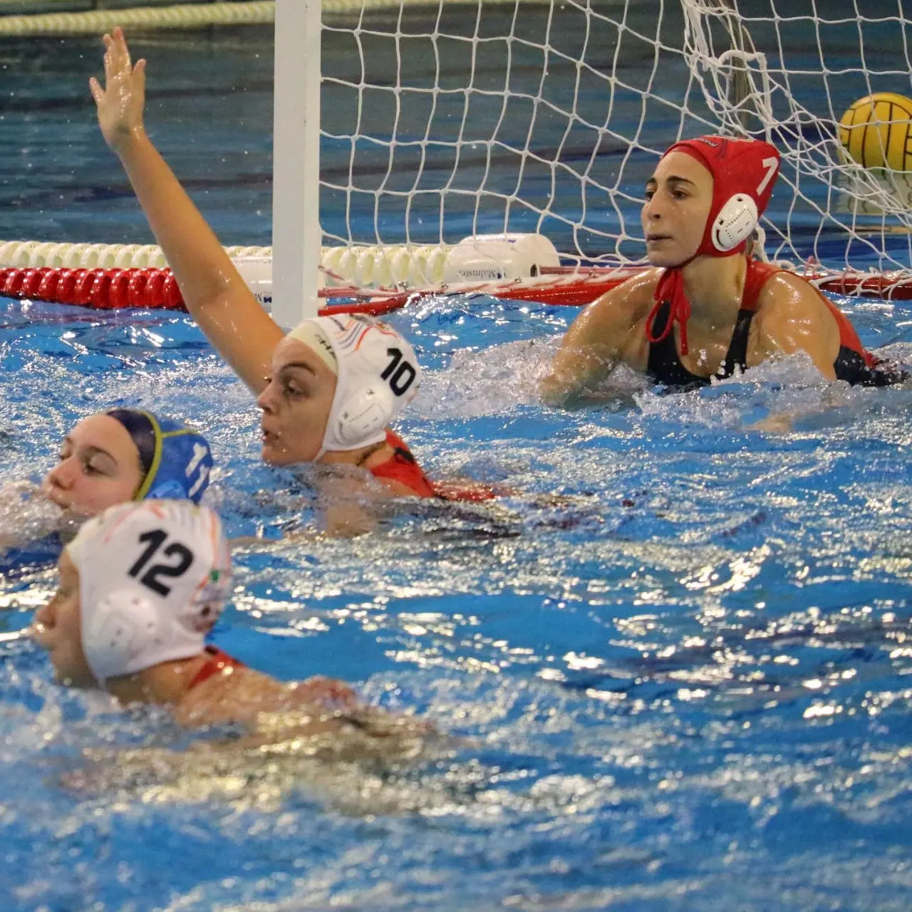 Conference Cup di Pallanuoto, Smile Cosenza senza problemi: 16-3 alla Stella Rossa\n\n\n\n\n