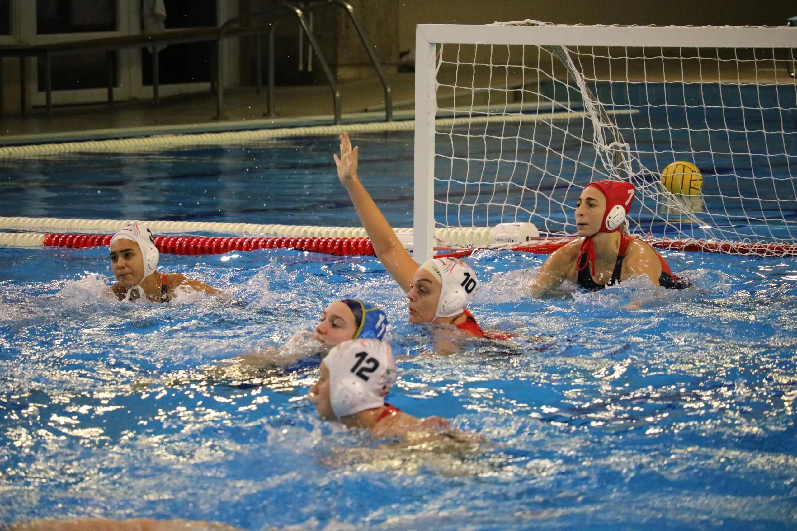 Conference Cup di Pallanuoto, Smile Cosenza senza problemi: 16-3 alla Stella Rossa\n\n\n\n\n