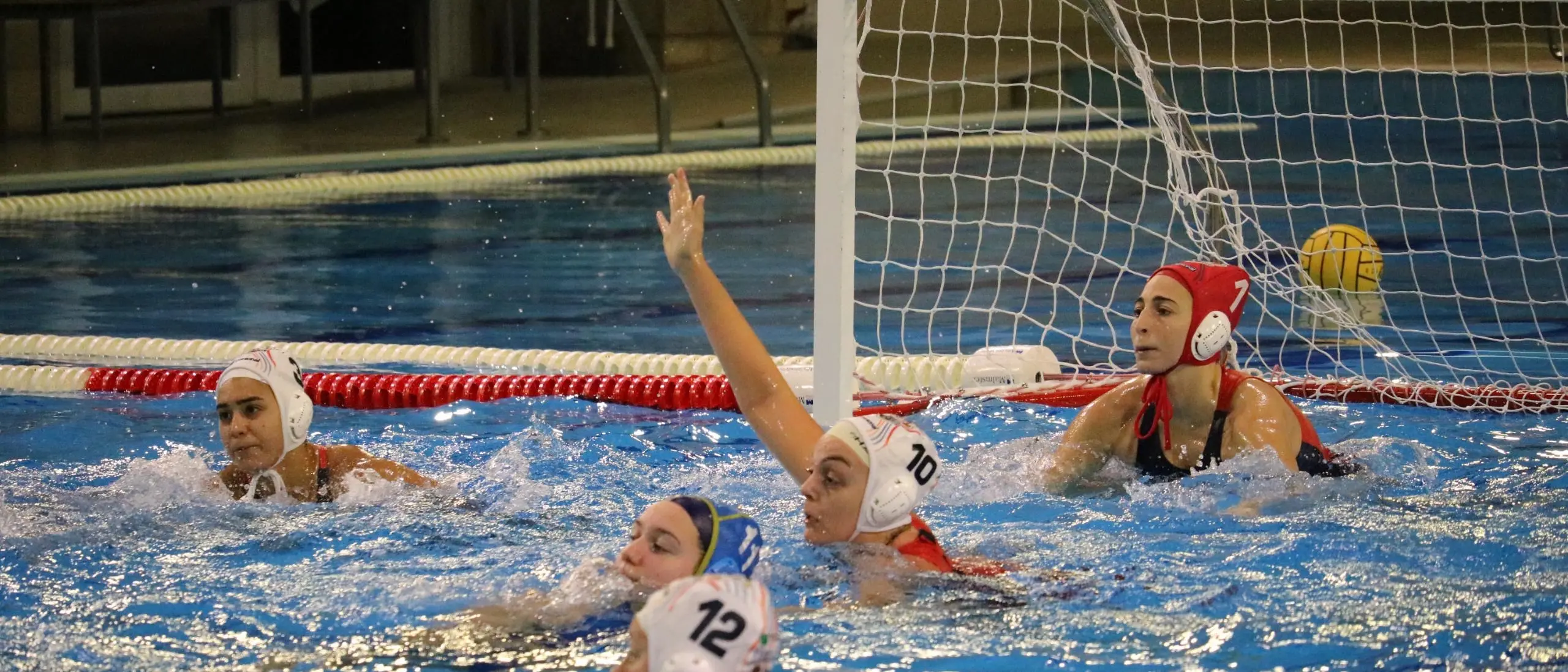 Conference Cup di Pallanuoto, Smile Cosenza senza problemi: 16-3 alla Stella Rossa\n\n\n\n\n