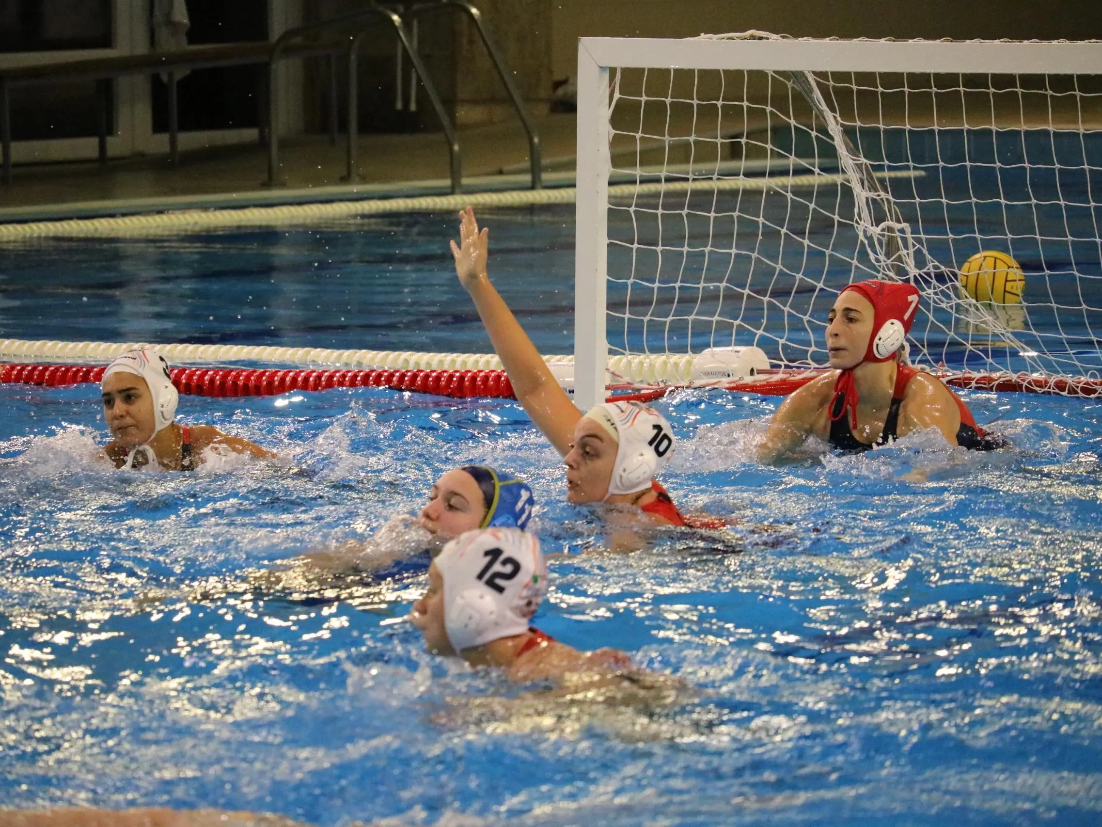 Conference Cup di Pallanuoto, Smile Cosenza senza problemi: 16-3 alla Stella Rossa