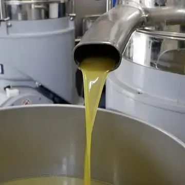 Catanzaro capitale dell’olio extravergine con il “Sol and the City Sud”, appuntamento 19\u00A0e\u00A020 dicembre al PalaColosimo\n