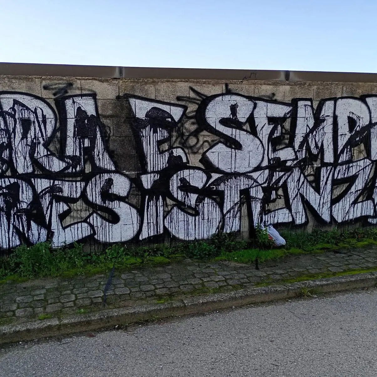 Imbrattato il murales dedicato alla Resistenza a Vibo, l’Anpi rilancia: «Viva l’Italia antifascita»\n