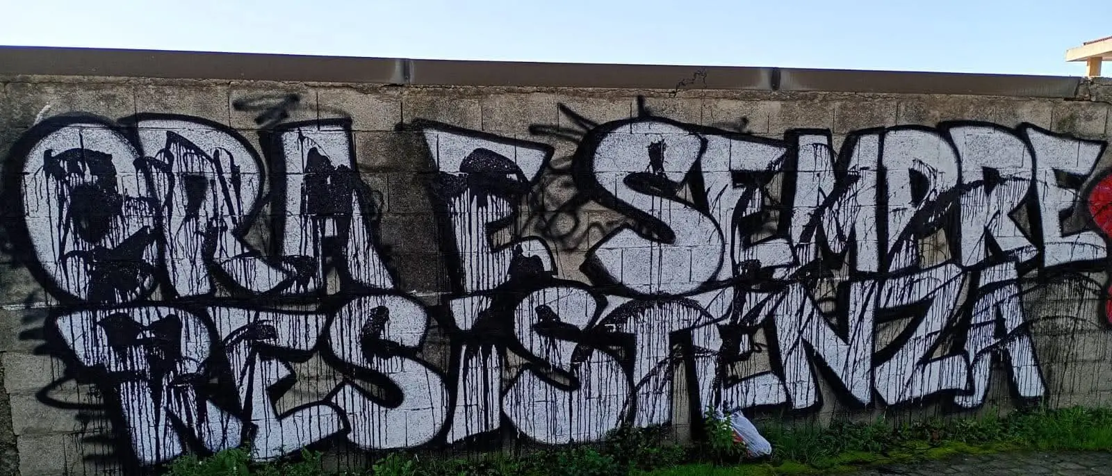 Imbrattato il murales dedicato alla Resistenza a Vibo, l’Anpi rilancia: «Viva l’Italia antifascita»\n