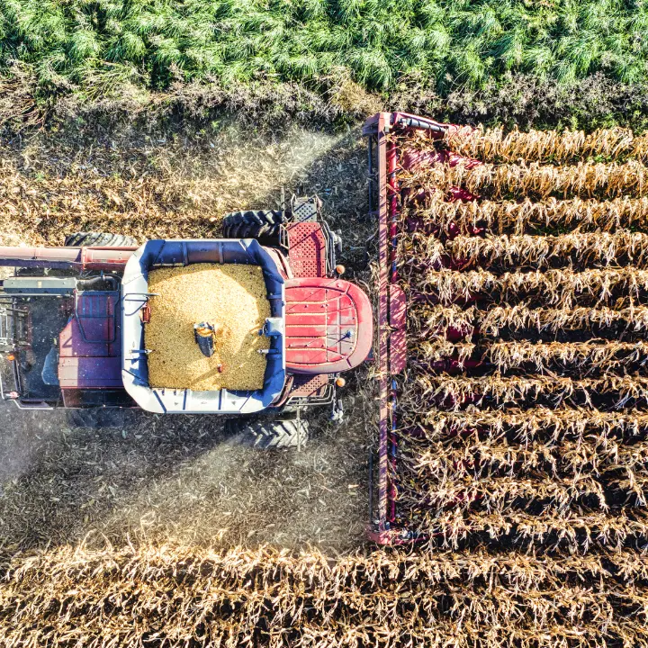 Dalla Regione\u00A036,5 milioni di euro a sostegno dell’agricoltura in zone montane o soggette a vincoli