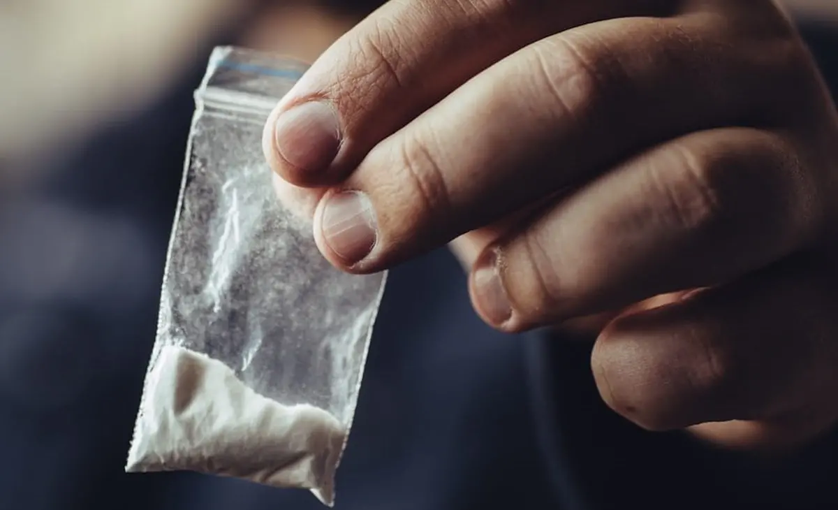 Vibo, sequestrati oltre 100 grammi di cocaina durante i controlli di polizia del fine settimana\n