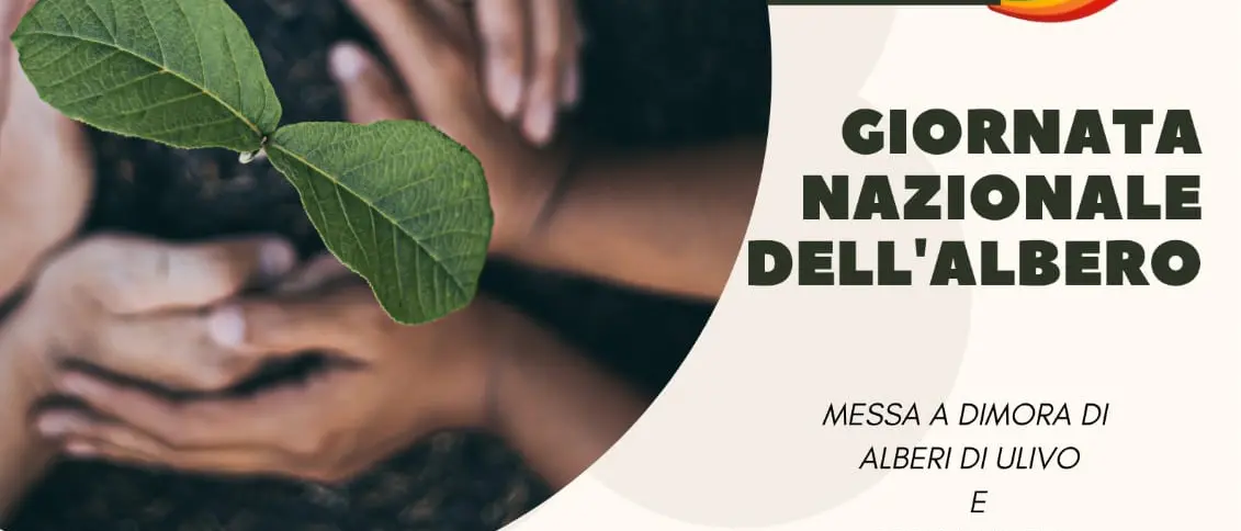 CAI Aspromonte, due ulivi e due bergamotti per la Giornata degli Alberi: a Piazza John Lennon l’impegno condiviso per il verde urbano\n