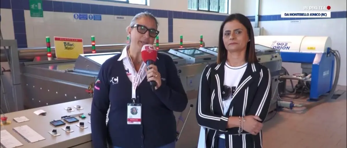 Clima sfavorevole e concorrenza sleale, ecco perchè l'olio calabrese e la sua filiera sono in crisi\n