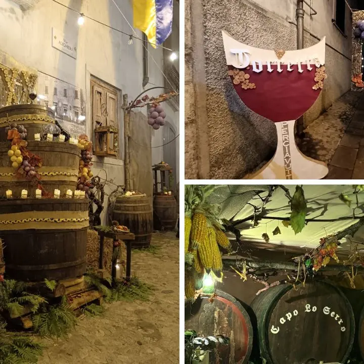 Mormanno brinda al Perciavutti: il fascino del vino nuovo e delle antiche usanze