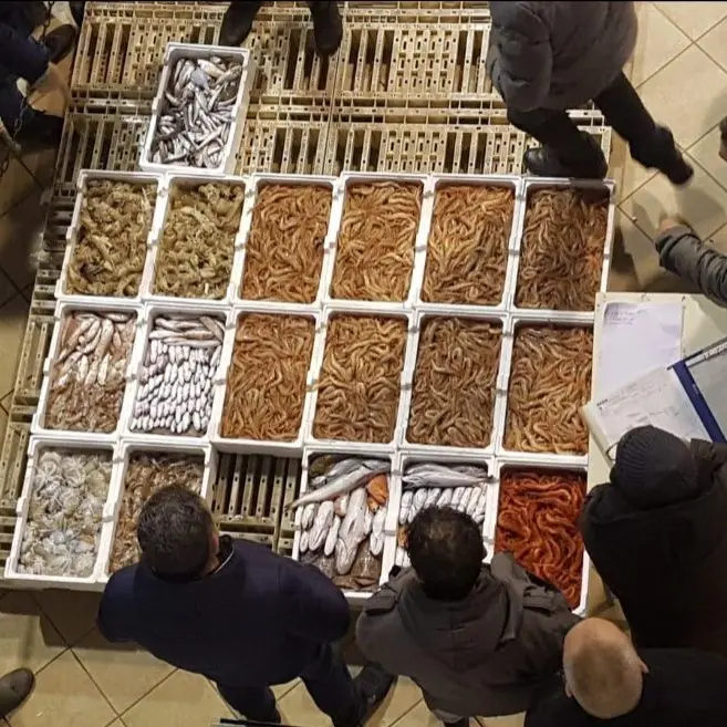 Corigliano Rossano, nuovo progetto per il mercato ittico con opere e servizi