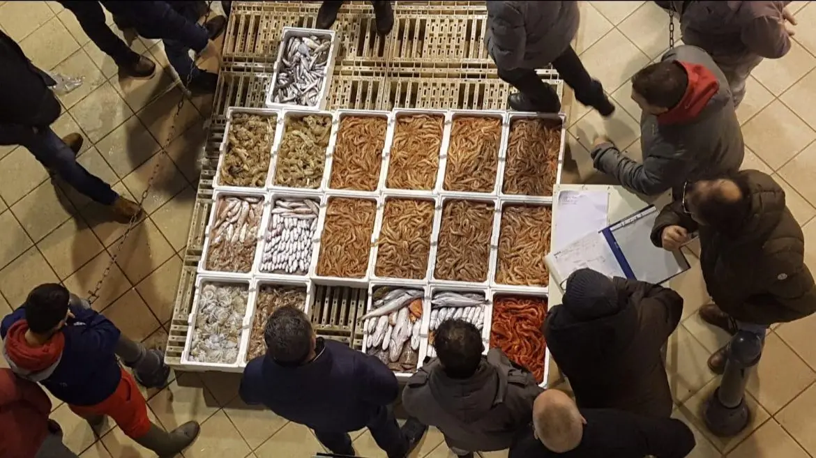 Corigliano Rossano, nuovo progetto per il mercato ittico con opere e servizi