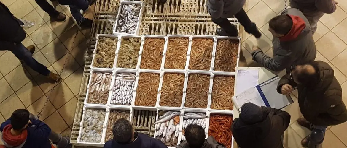 Corigliano Rossano, nuovo progetto per il mercato ittico con opere e servizi