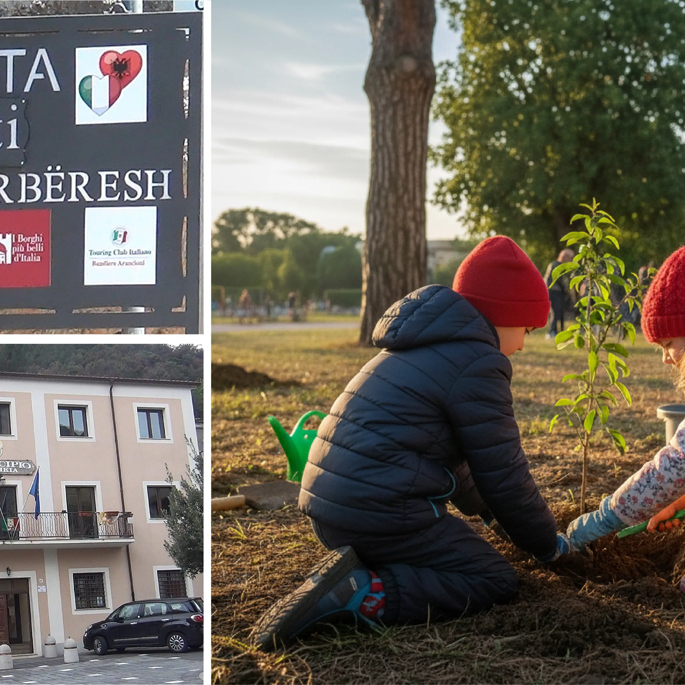 Civita\u00A0celebra la Festa dell’albero: così l’evento diventa impegno civico per le future generazioni\n