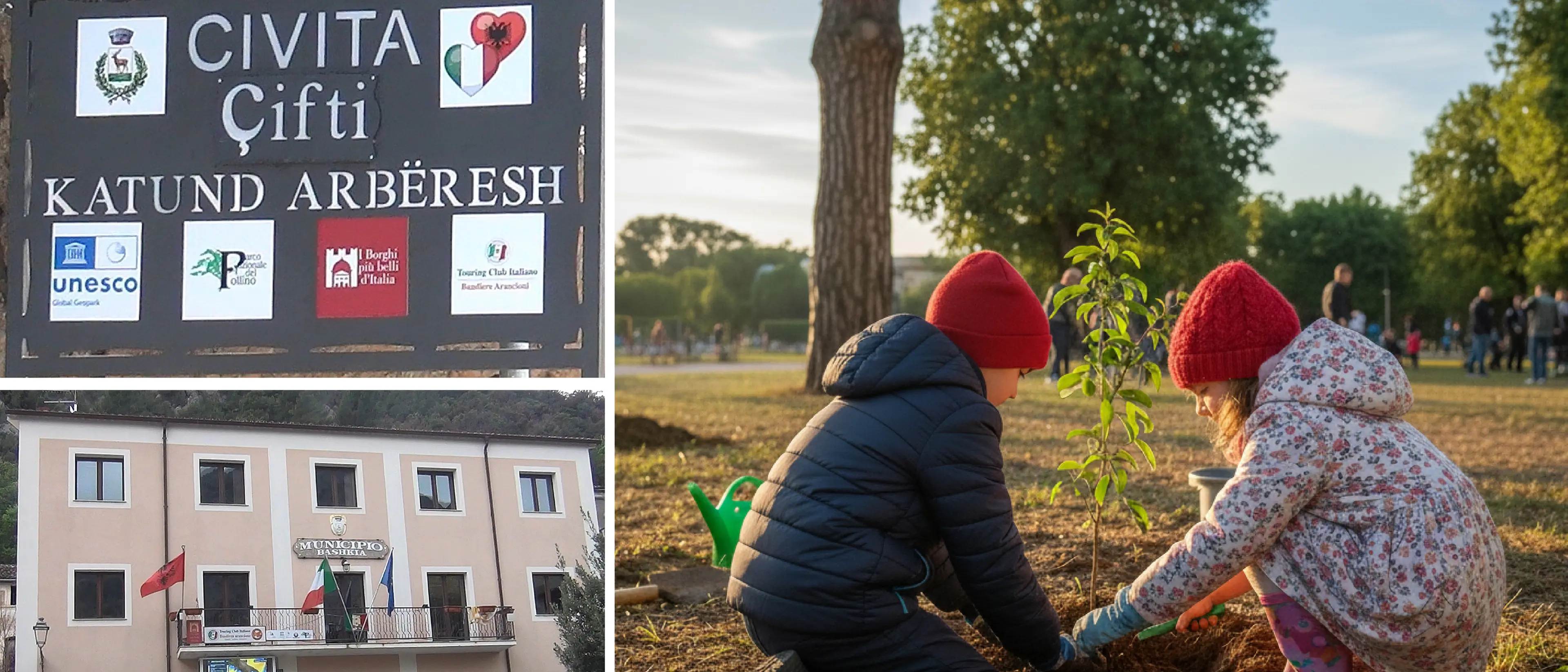 Civita\u00A0celebra la Festa dell’albero: così l’evento diventa impegno civico per le future generazioni\n
