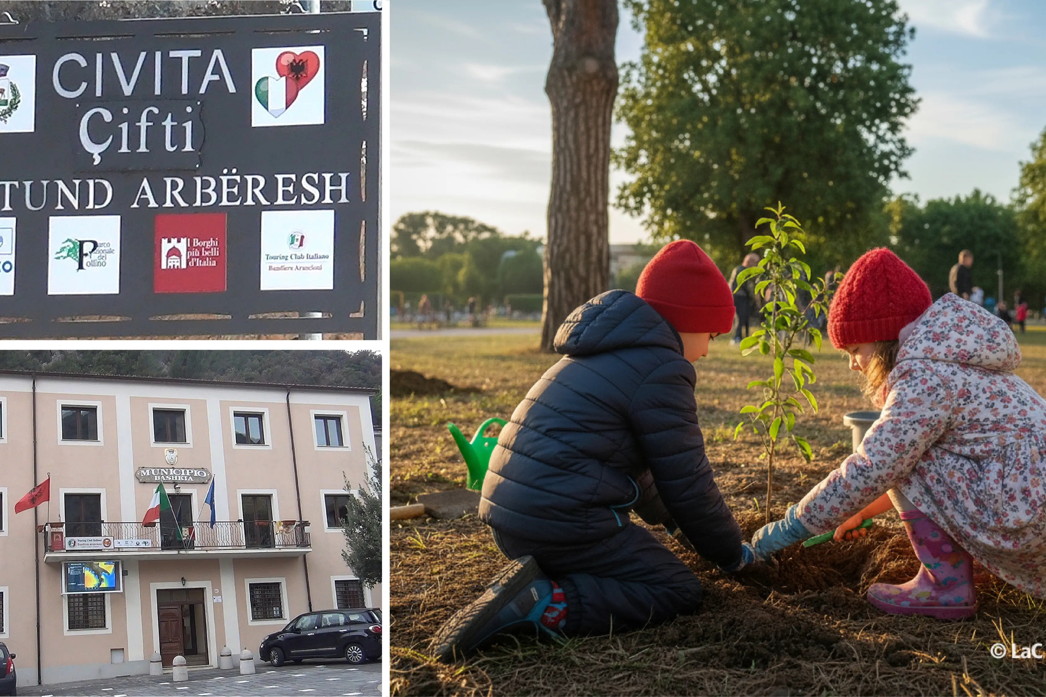 Civita\u00A0celebra la Festa dell’albero: così l’evento diventa impegno civico per le future generazioni\n