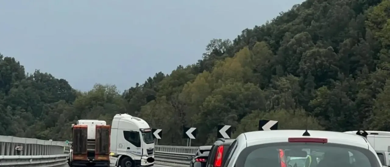 Jonio-Tirreno, scoppia pneumatico di un camion: nessun ferito ma traffico in tilt\n