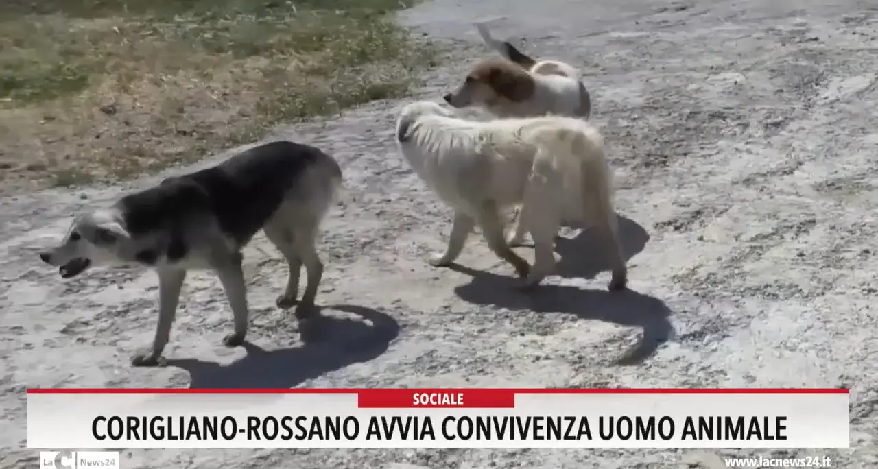 Corigliano-Rossano avvia convivenza uomo animale
