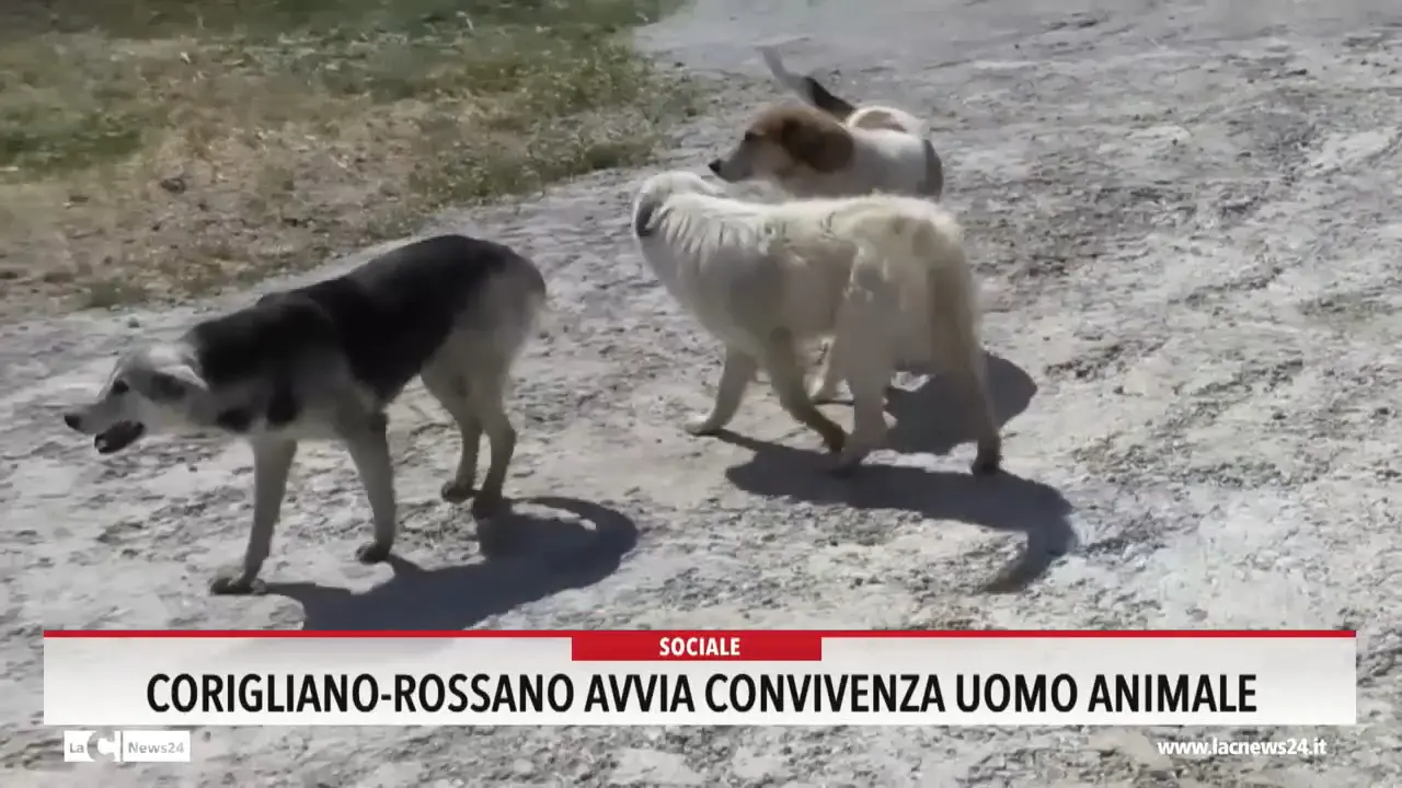 Corigliano-Rossano avvia convivenza uomo animale