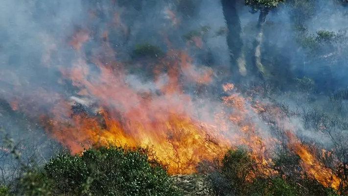 <p>Foto di repertorio</p>\\n