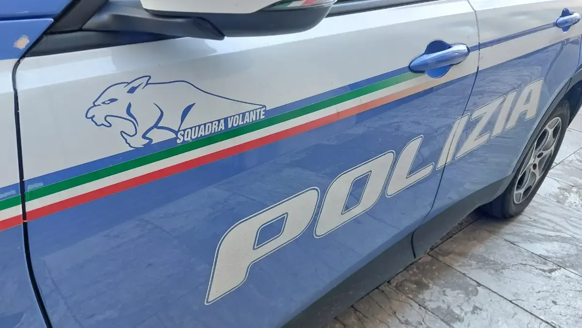 Piana di Gioia Tauro al setaccio, controlli e perquisizioni della Polizia\n