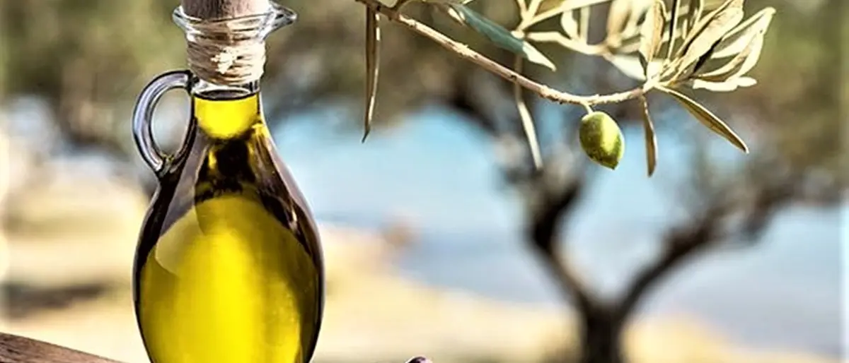 Gli extravergini vibonesi visti da Slow Food: sabato 22 novembre focus e analisi sensoriale degli oli della provincia