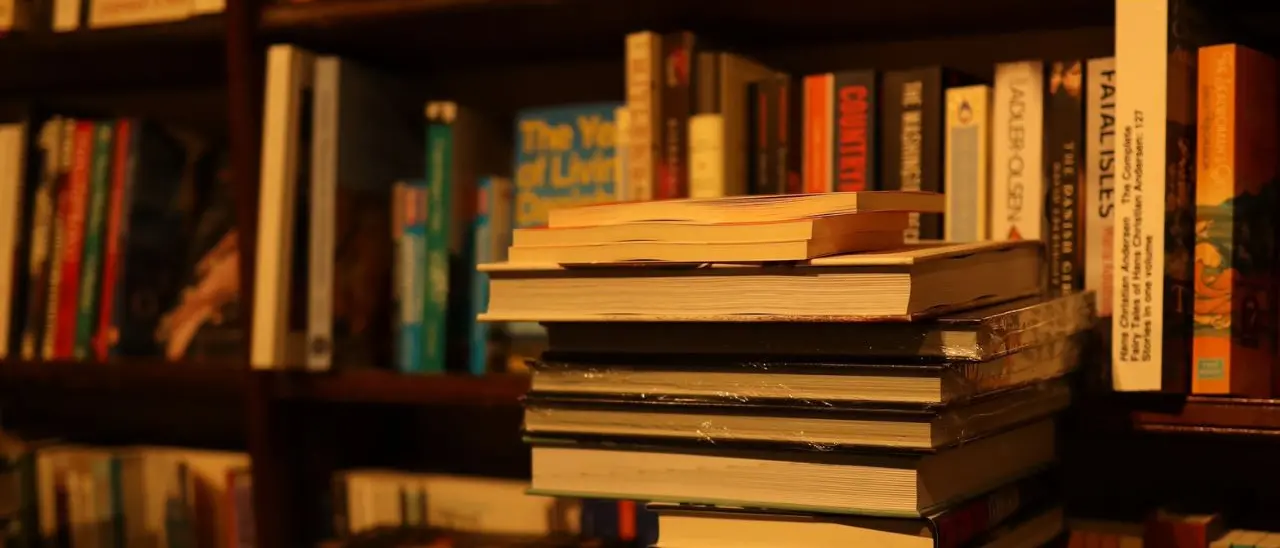 Fondi per l’acquisto di libri, alla Calabria 1,9 milioni per 141 biblioteche: ecco gli elenchi\n